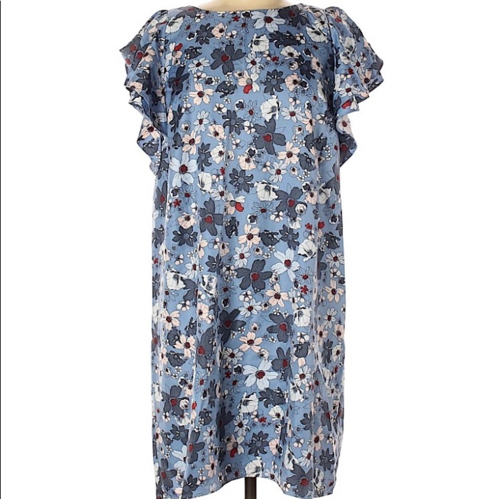 Ann Taylor Ruffle Sleeve Dress Sz M
